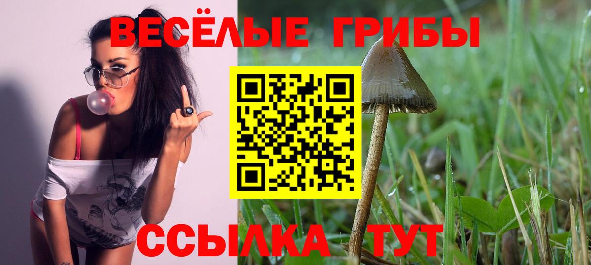 Псилоцибиновые грибы мухоморы Рыбинск